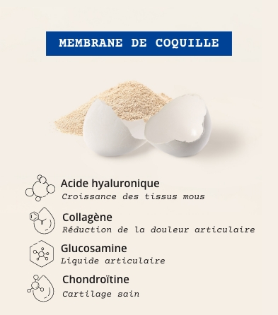 eggshell membranes